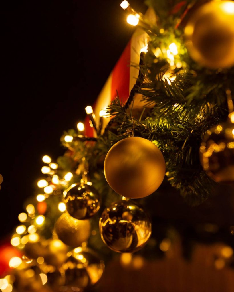 closeup-shot-of-a-christmas-tree