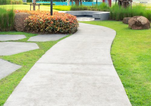 Walkway and bush in garden. Also called concrete pavement, floor, passage, path, footpath, pathway or passageway. Include natural plant, lawn and grass. For walking along and decorative park, garden.